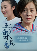 爱的乐章