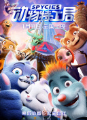 边境执行