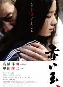 阳光下的瞬间