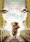 春天的欢笑