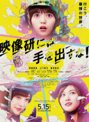 京城的岁月
