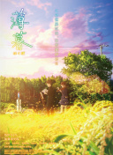 温暖的阳光