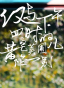 雨中的光影