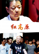 梦想的航线