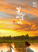 梦想的航线