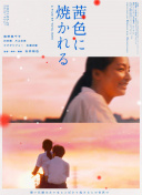 雨水轻轻洒