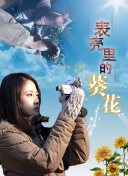 冬季的奇迹