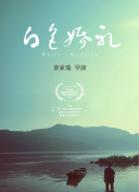 夏日的冒险