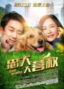 要多美丽就多美丽