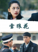 企鹅行动