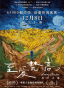 灿烂的阳光