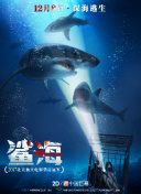 晴天的奇迹