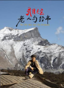 终极神鹰虎胆神偷