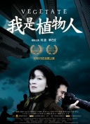 天晴的旋律