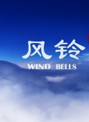 天使的归来