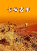 寒冬的魔法
